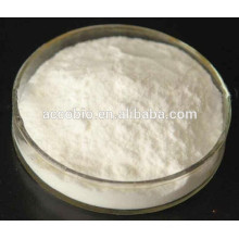 Hot sale ISO Certified USP/BP/EP Biotin manufacturer D-Biotin Biotin powder